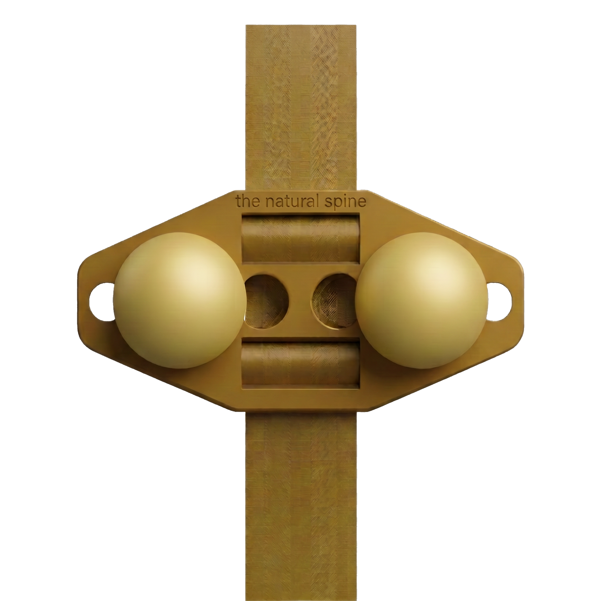 The Natural Spine Posture Correction Device